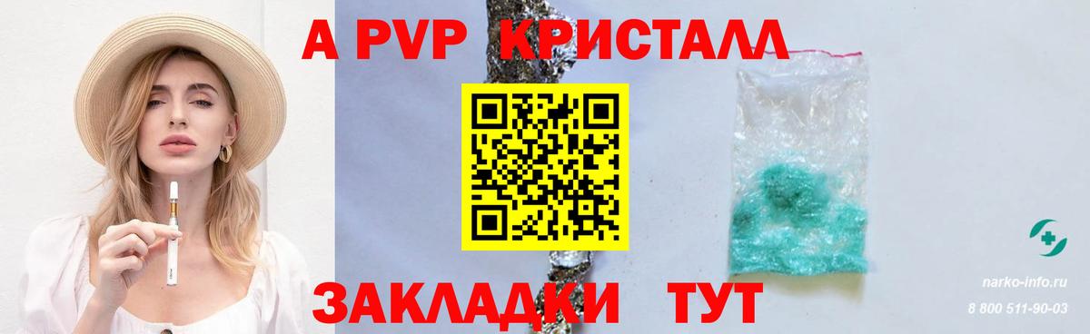 A-PVP СК КРИС Прокопьевск