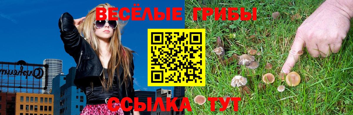 Галлюциногенные грибы Psilocybine cubensis Прокопьевск